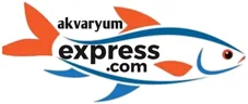 AkvaryumExpress