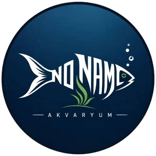 No Name Akvaryum