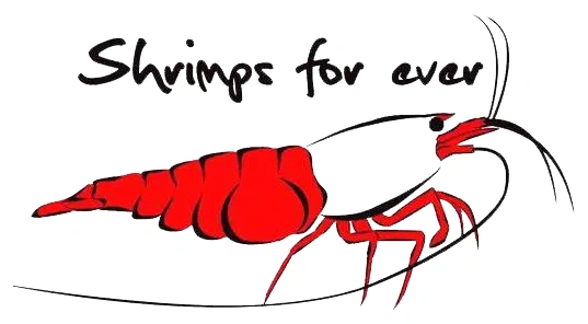 Shrimps Forever logosu