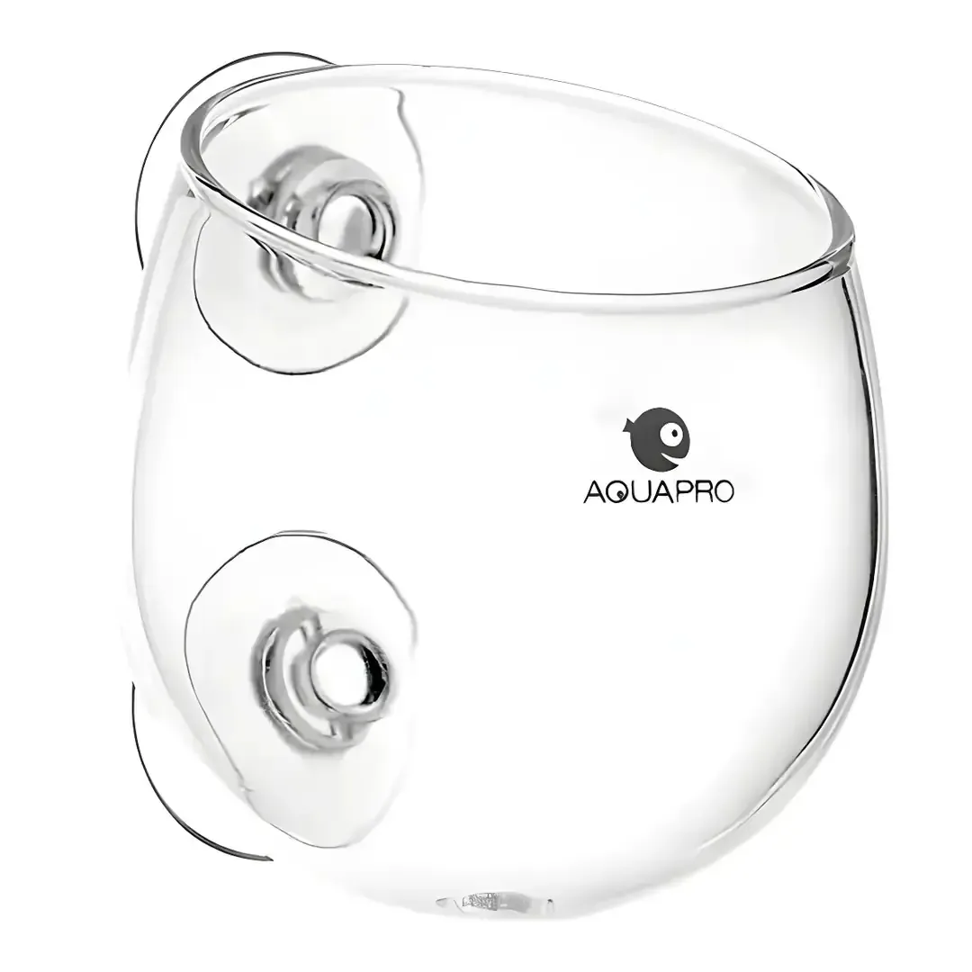 Aquapro Glass Plant Pot