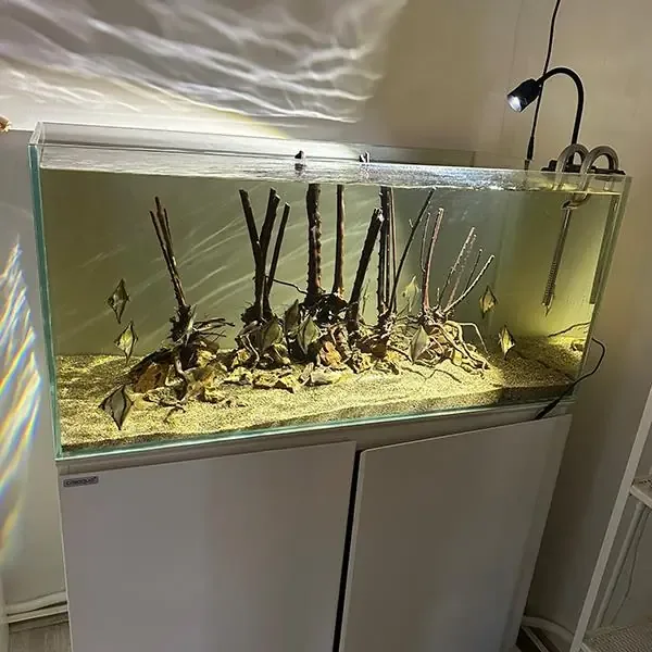 OrionLed Nano Spot 12W