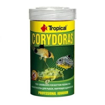 Tropical Corydoras