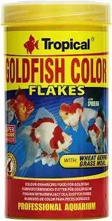 Tropical Goldfish Color